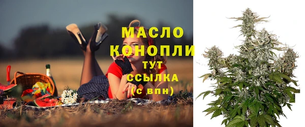 дмт Богородицк