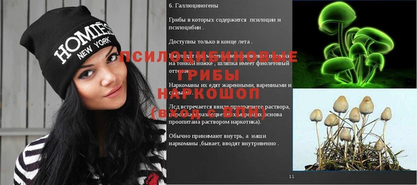 гашиш Богданович